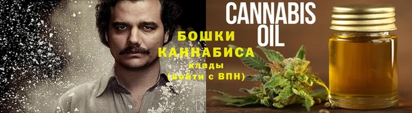 шишки Баксан