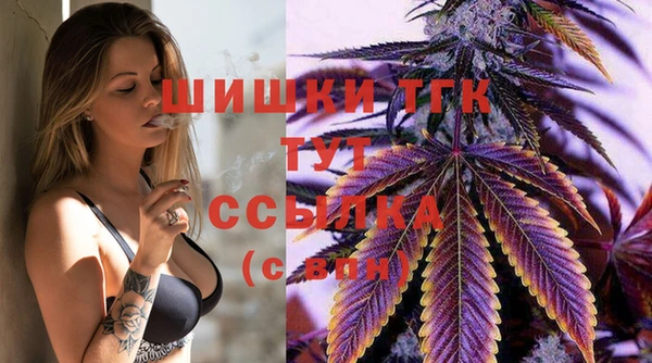 шишки Баксан
