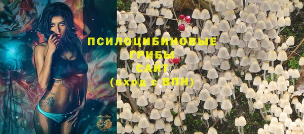крисы Балахна