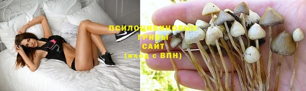 шишки Баксан
