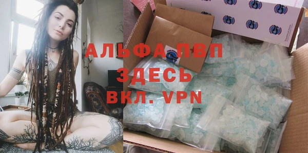 крисы Балахна